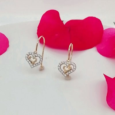 Earrings double heart