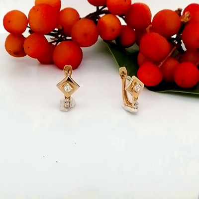 Earrings 14 K