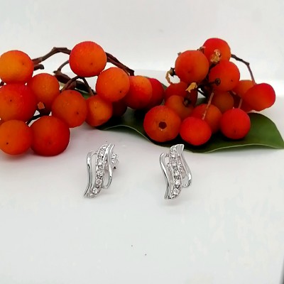 Earrings 14 K