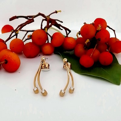 Earrings 14 K