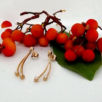 Earrings 14 K - 1033