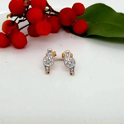 Earrings 14 K