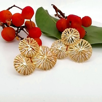 Earrings exotic style