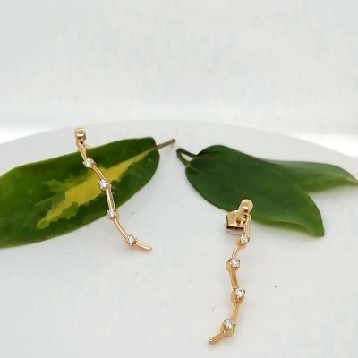 Earrings 14 K