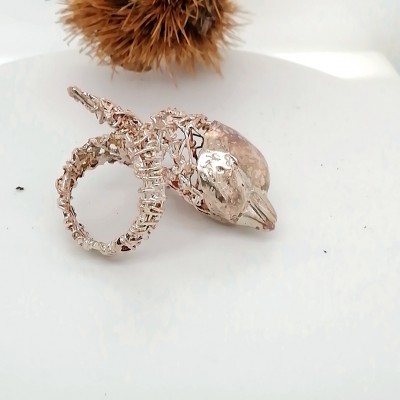 Ring dolphin-2