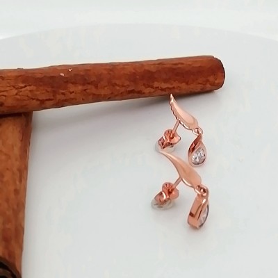 Earrings 925