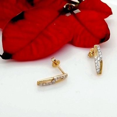 Earrings 14-2