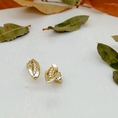 Earrings oval shape